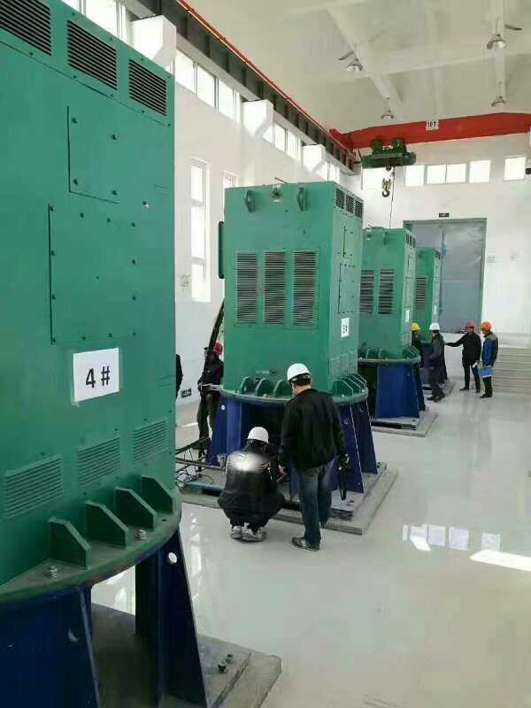 赣州某污水处理厂使用我厂的立式高压电机安装现场
